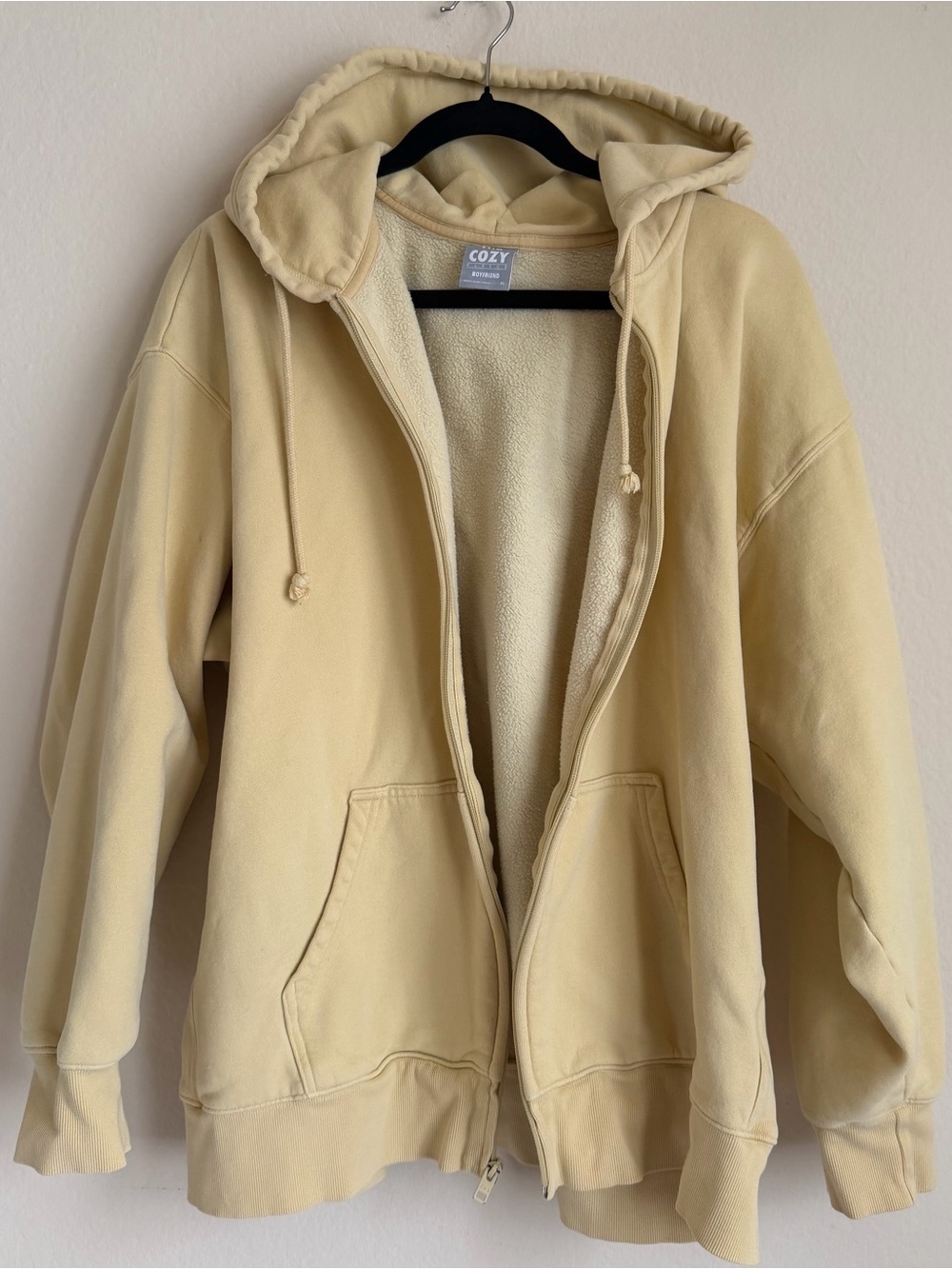 Aritzia TNA Boyfriend Hoodie